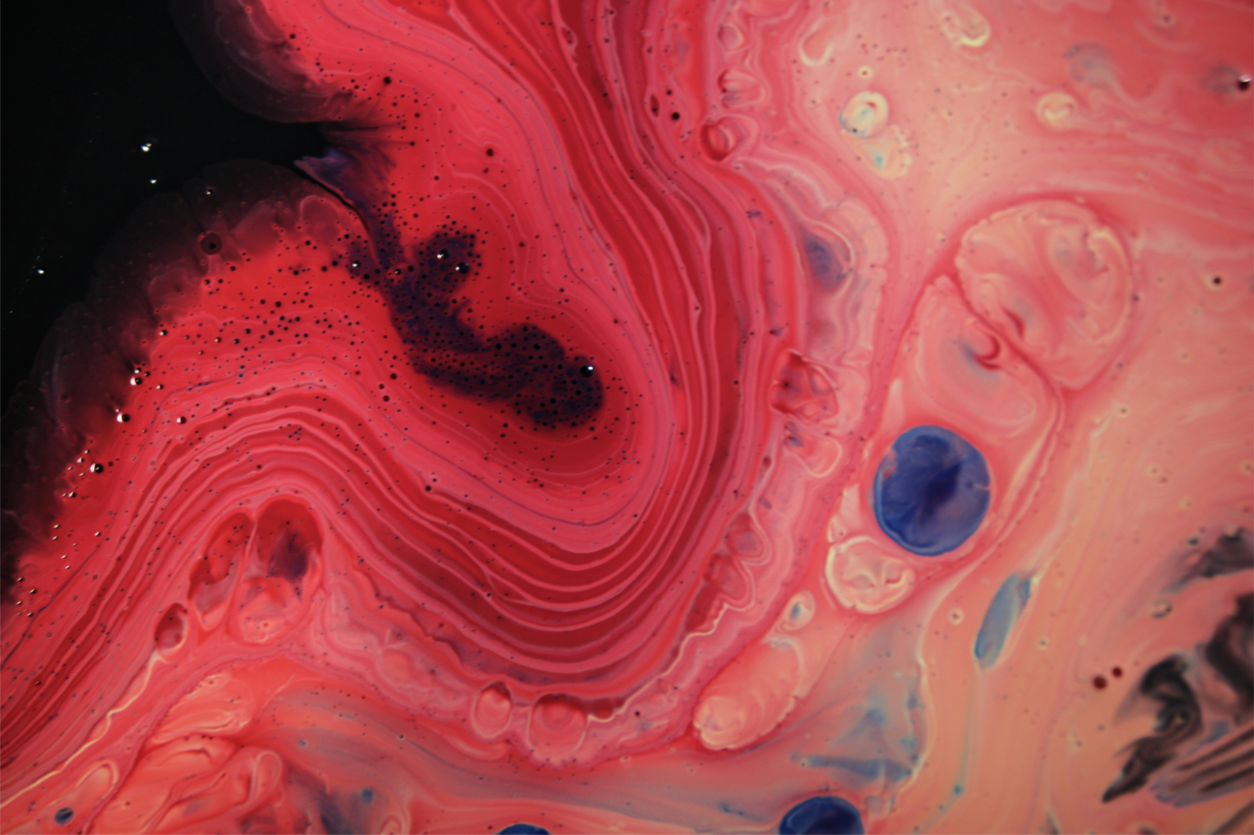 red liquid card img